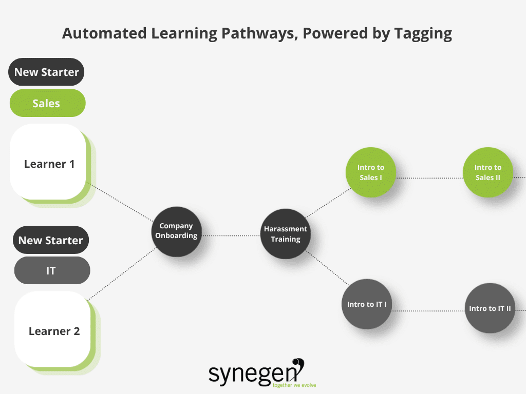 graphic showing automated learning pathways, powered by ai tagging